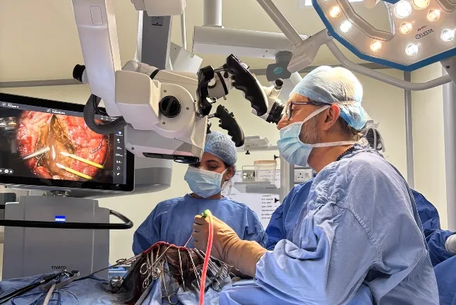 Neurovascular Surgery